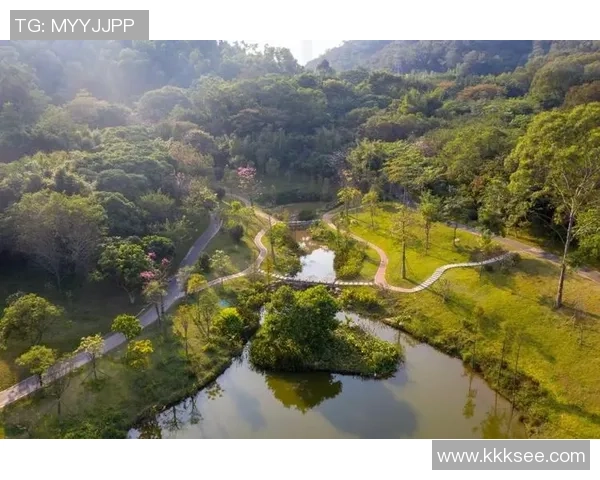 柳州足球热潮兴起青少年踢球活动蓬勃发展助力城市体育文化提升